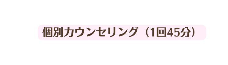 個別カウンセリング 1回45分